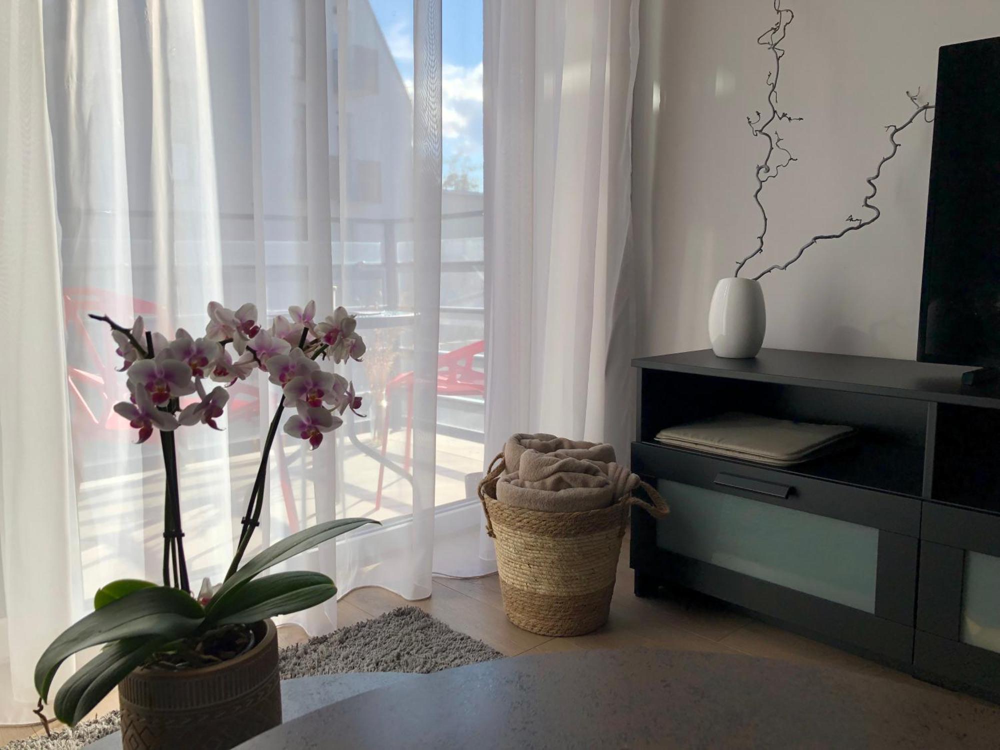 Cosy 1 Bedroom Apartment In The Heart Of Old Town With Parking Kaunas Exteriör bild